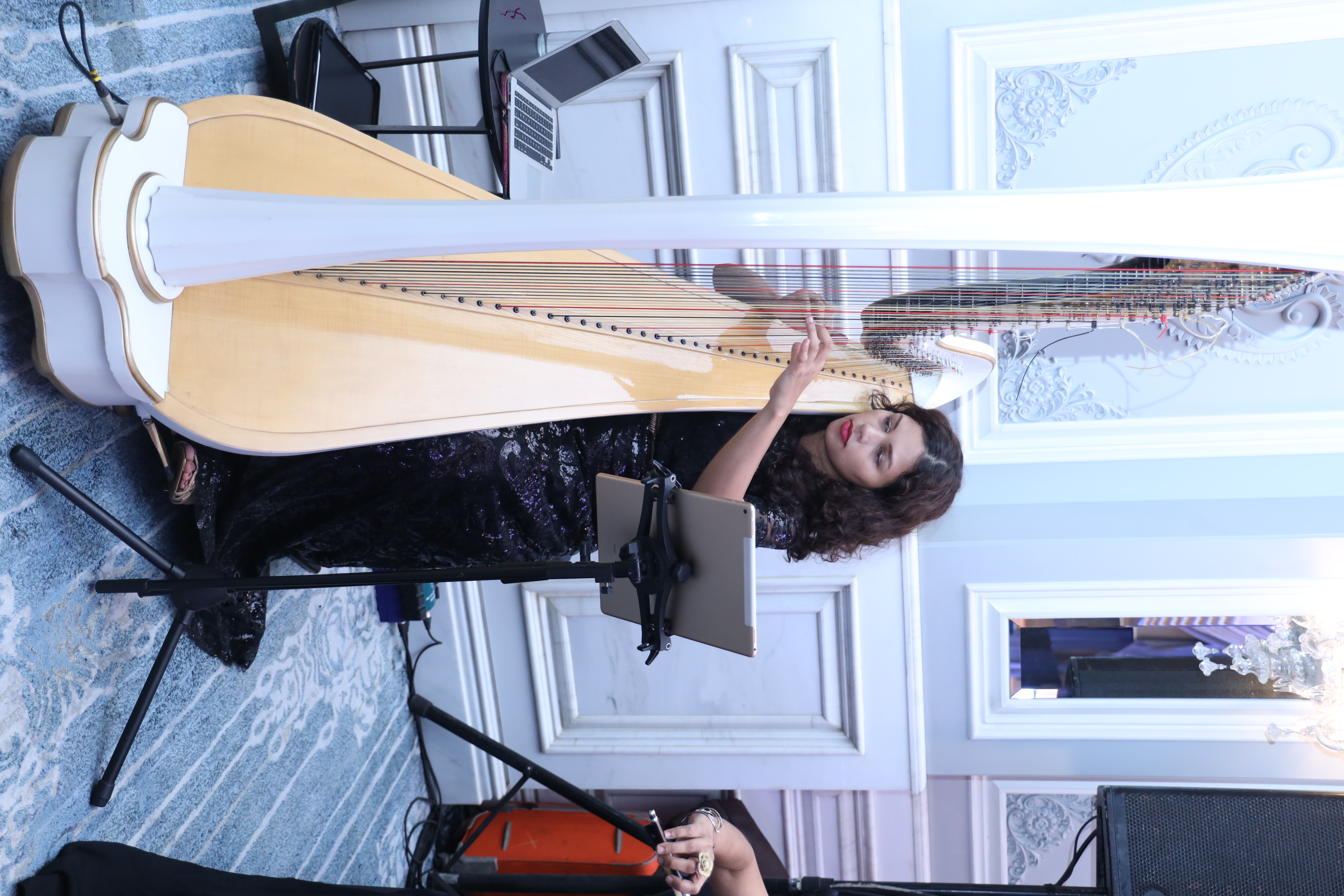 Harpist Meagan at an awards and gala night for a corporate event in Pune