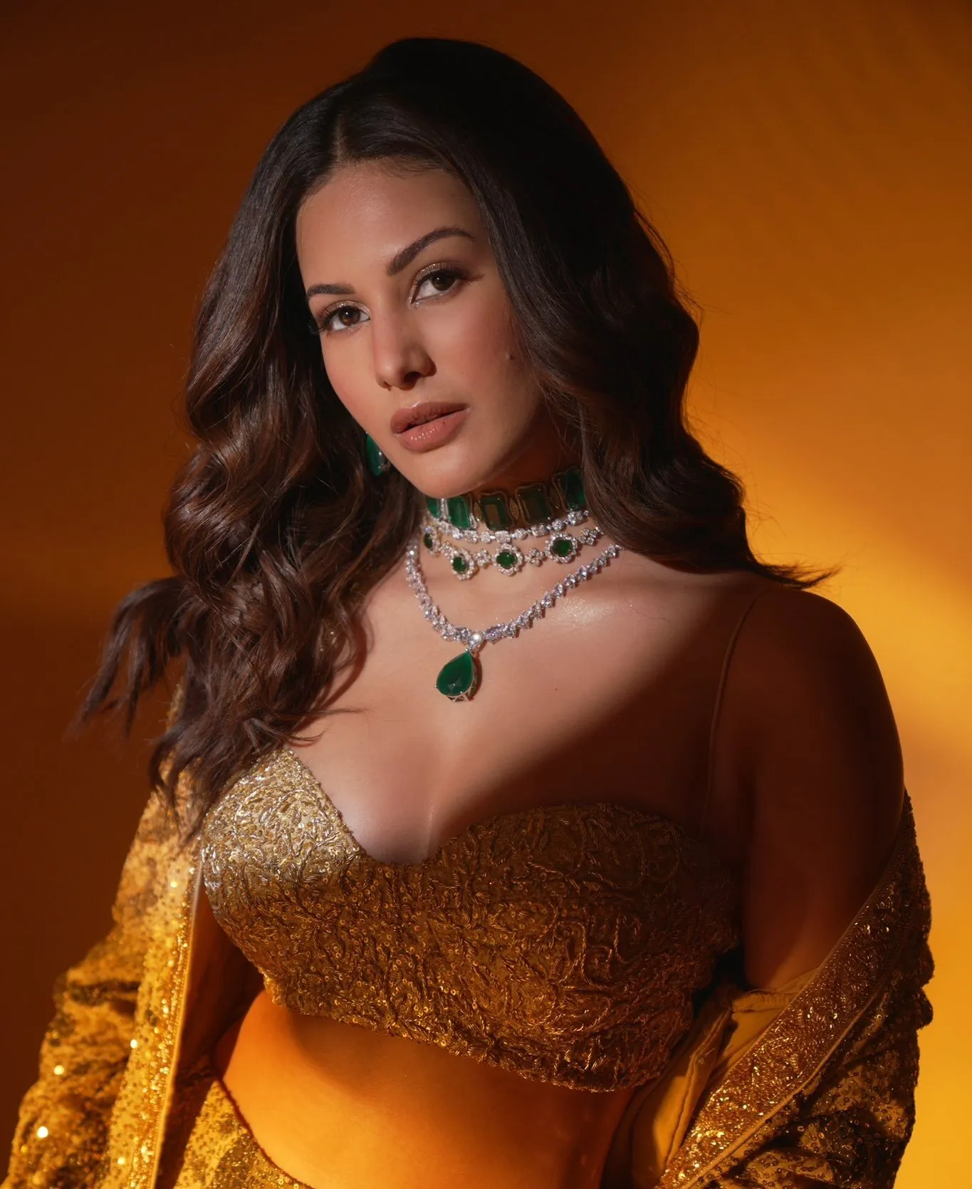 Hire a TV Celebrity Amyra Dastur for Event